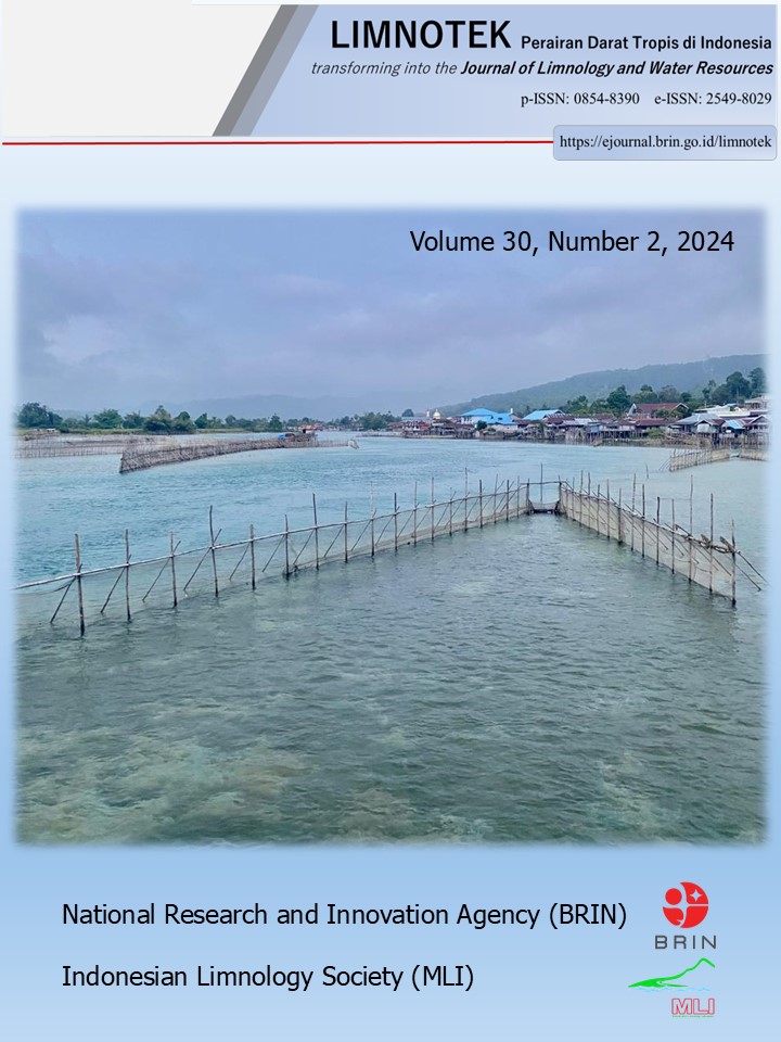 "Waya Masapi," the traditional fishing gear used for catching eels in Lake Poso, courtesy of Prof. Dr. Gadis Sri Haryani (Research Centre for Limnology and Water Resources, National Research and Innovation Agency - BRIN, Indonesia)