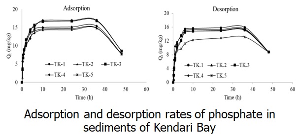 Adsorption and desorption rates of phosphate in sediments of Kendari Bay